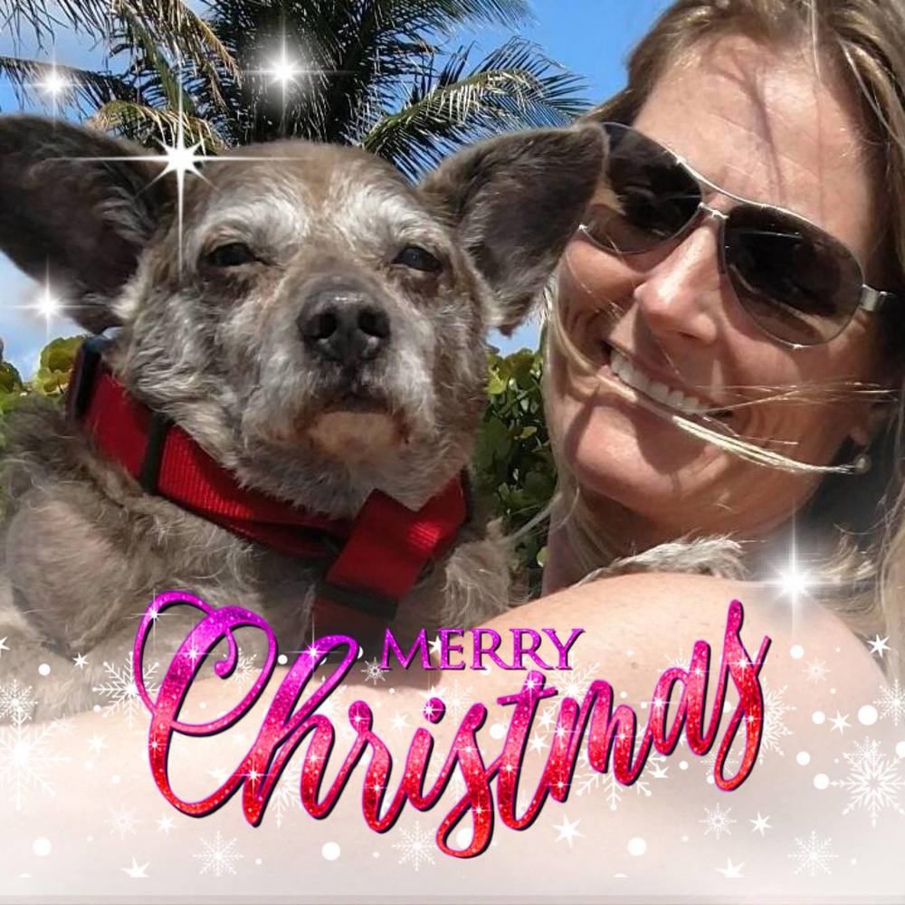 Meet your Posher, Dawn